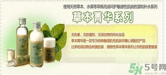 思親膚和悅詩風吟哪個好？skin food思親膚和悅詩風吟哪個檔次高？