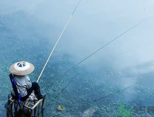 十月份釣什么魚(yú)？十月份釣魚(yú)技巧