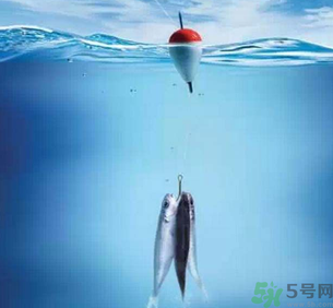 秋天釣魚深水還是淺水？秋天釣魚釣深水還是淺水？