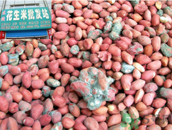 花生米發(fā)霉了還能吃嗎？花生米發(fā)霉了怎么辦？