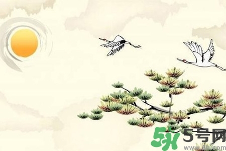 重陽(yáng)節(jié)吃什么好？重陽(yáng)節(jié)吃什么食物？