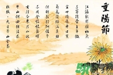 重陽(yáng)節(jié)吃什么好？重陽(yáng)節(jié)吃什么食物？