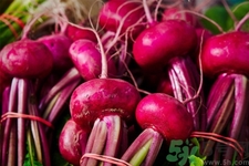 吃甜菜有什么好處？吃甜菜對身體好嗎？