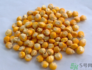玉米用什么泡釣魚好？玉米怎么泡好釣魚？