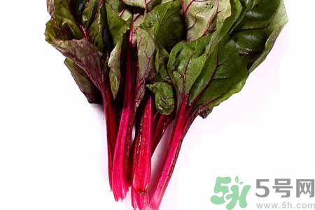 甜菜是甜的嗎？甜菜到底是不是甜的？
