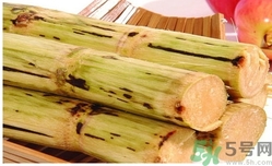 甘蔗過夜了能吃嗎？隔夜的甘蔗可以吃嗎？