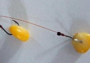玉米粒怎么釣魚？怎么用玉米粒釣魚？