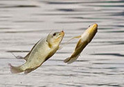 十月份怎么釣魚？十月份釣魚好釣嗎？