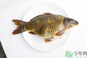 鯉魚死了還能吃嗎？鯉魚死了多久不能吃？