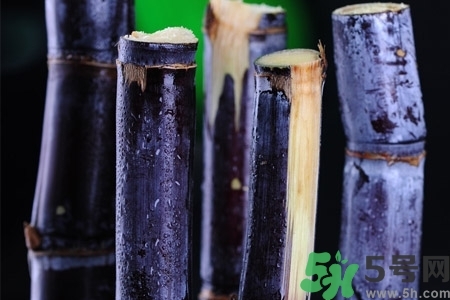 甘蔗一天吃多少最好？甘蔗能每天都吃嗎？