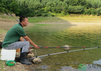釣的魚怎么保存？釣的魚吃不完怎么保存？