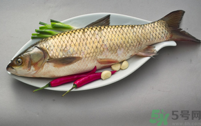 秋天怎么釣草魚？秋天草魚好釣嗎？