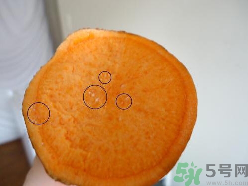 番薯發(fā)芽還能吃嗎？山芋發(fā)芽還能吃嗎？