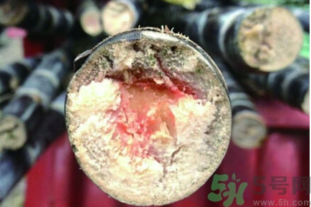 發(fā)霉的甘蔗吃了會中毒嗎？發(fā)霉的甘蔗長什么樣子？