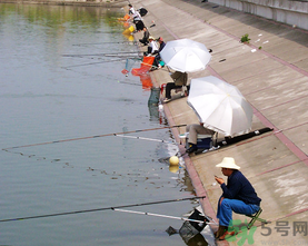 水庫(kù)釣魚用什么餌料？水庫(kù)釣魚用什么商品餌？