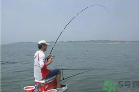 陰天好釣魚嗎？陰天釣魚好釣嗎？