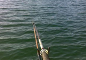 十月份水庫(kù)可以釣魚嗎？十月份水庫(kù)釣魚技巧