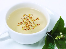 新鮮桂花能泡茶嗎？新鮮桂花怎么處理泡茶？