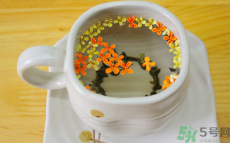 剛摘的桂花可以泡茶嗎？剛摘的桂花能泡茶嗎？