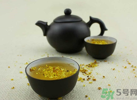 新鮮桂花可以泡水喝嗎？新鮮桂花泡水喝有什么好處？