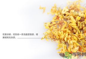 新鮮桂花可以泡水喝嗎？新鮮桂花泡水喝有什么好處？