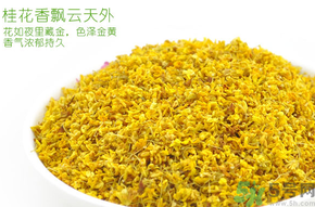 剛摘的桂花有蟲怎么辦？干桂花長蟲怎么辦？
