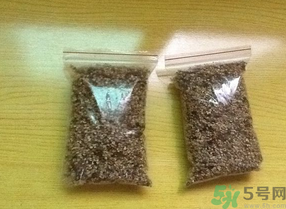桂花怎么曬干？桂花曬好后可以做什么？