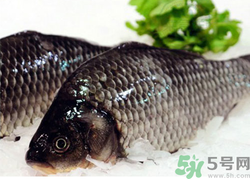 鯽魚(yú)死了一夜能吃嗎？鯽魚(yú)死了一天能吃嗎？