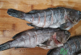 黑魚怎么洗掉身上的粘液？黑魚怎么洗才干凈？