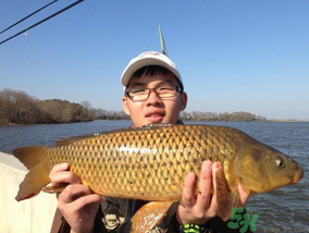 夜釣鯉魚用什么餌料？秋天夜釣鯉魚用什么餌料？