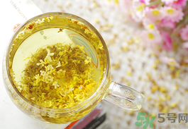桂花怎么泡茶？桂花怎么泡茶喝？