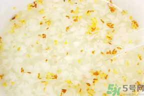 新鮮桂花可以煮粥嗎？桂花可以煮粥嗎？