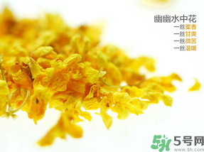 桂花可以泡水喝嗎？桂花怎么泡水？