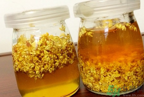 干桂花可以做桂花蜜嗎？干桂花怎么做桂花蜜？