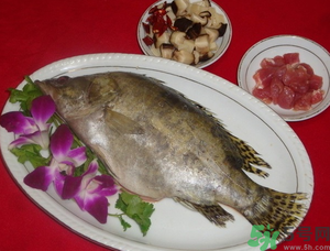 桂魚怎么保存？桂魚放冰箱怎么保存？