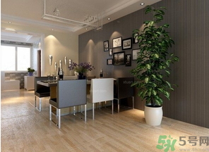 桂花樹可以種在室內(nèi)嗎？桂花樹適合在室內(nèi)嗎？