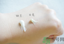 白兔祛痘膏和獅王哪個好？白兔牌暗瘡膏哪款好？