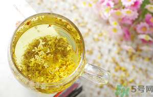 月經(jīng)期能喝桂花茶嗎？經(jīng)期能喝桂花茶嗎？