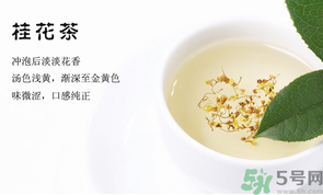 月經(jīng)期能喝桂花茶嗎？經(jīng)期能喝桂花茶嗎？