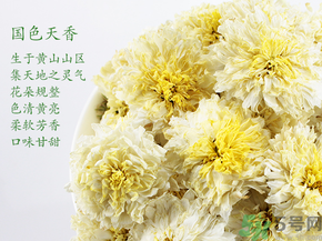 菊花茶可以放冰箱嗎？菊花茶能放冰箱冷凍嗎？