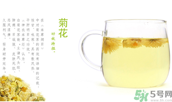 菊花茶可以放冰箱嗎？菊花茶能放冰箱冷凍嗎？