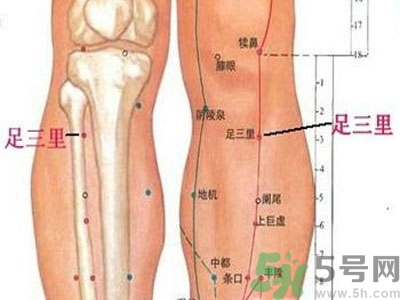 艾灸足三里有什么好處？艾灸足三里的功效