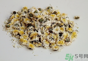 干菊花長蟲怎么辦？干菊花長蟲還能喝嗎？