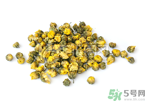 干菊花長蟲怎么辦？干菊花長蟲還能喝嗎？