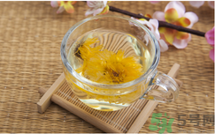 菊花茶可以天天喝嗎？菊花茶喝多了會(huì)怎么樣？