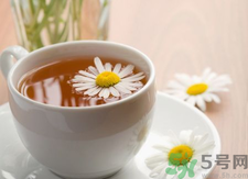 菊花茶可以天天喝嗎？菊花茶喝多了會(huì)怎么樣？