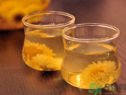 菊花茶可以加蜂蜜嗎？菊花茶喝蜂蜜能一起喝嗎？