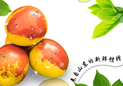 冬棗洗了可以放冰箱嗎？冬棗放冰箱好還是不放冰箱好？