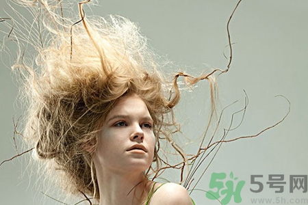冬天用什么梳子比較好？頭發(fā)總愛靜電用什么梳子好？
