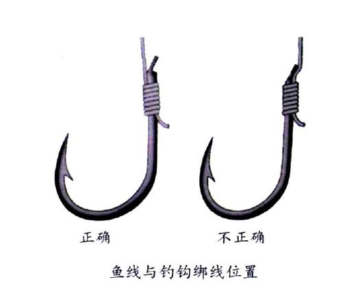 釣鯉魚用幾號(hào)鉤？釣鯉魚用什么鉤？